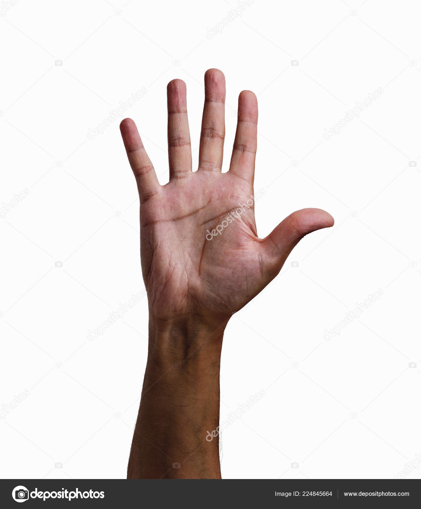 Gesture Male Hand Open Palm with Five Fingers Stock Photo - Image of  people, human: 104884132