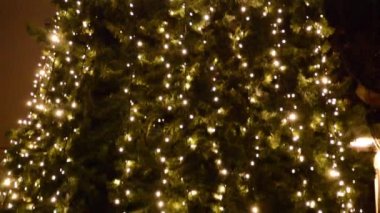 Noel ağacı gece ışıklarıyla tatil panayırı