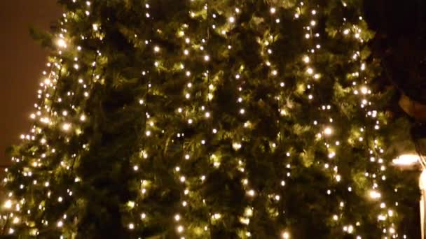 Fête Foraine Avec Des Lumières Noël Arbre Nuit Vidéo De Stock