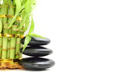 Bambu içeren spa konsepti zen bazalt taşları