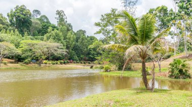 Göl Manzaralı, gündüz