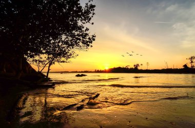Plaja yakın günbatımı an