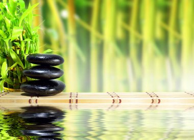 Bambu içeren spa konsepti zen bazalt taşları