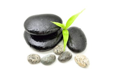 Zen stone ile bambu yaprak beyaz arka plan üzerinde. Spa konsept