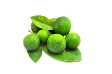 Beyaz arka planda calamansi