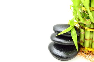 Bambu içeren spa konsepti zen bazalt taşları