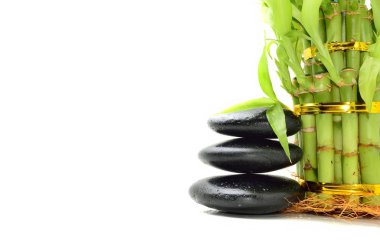 Bambu içeren spa konsepti zen bazalt taşları