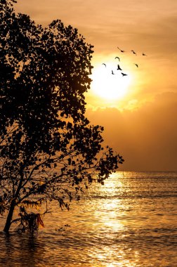 gün batımı ve deniz