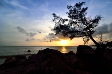 Güzel manzara ne zaman gün batımı