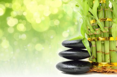 Bambu içeren spa konsepti zen bazalt taşları