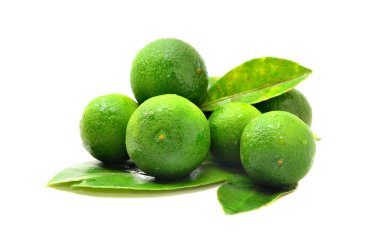 Beyaz arka planda calamansi