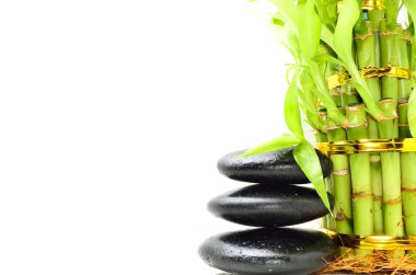 Bambu içeren spa konsepti zen bazalt taşları