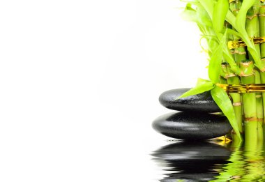 Bambu içeren spa konsepti zen bazalt taşları