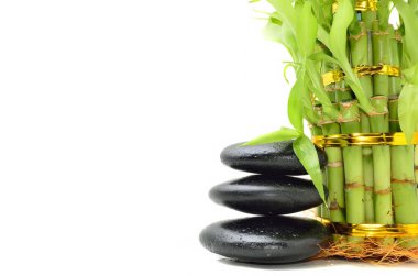 Bambu içeren spa konsepti zen bazalt taşları