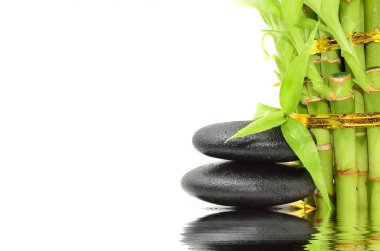 Bambu içeren spa konsepti zen bazalt taşları
