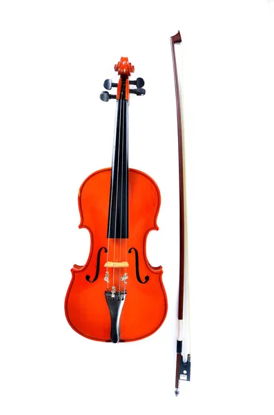 Violin Vit Bakgrund — Stockfoto