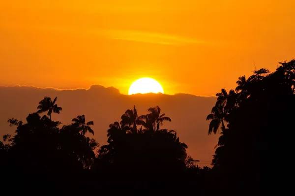 Nanılmaz Altın Gün Batımı Manzarası — Stok fotoğraf