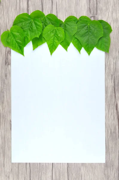 Frame Green Leaf Wood Background — Stock Photo, Image