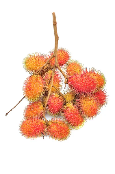 热带水果 在白色背景上的红毛丹 — 图库照片