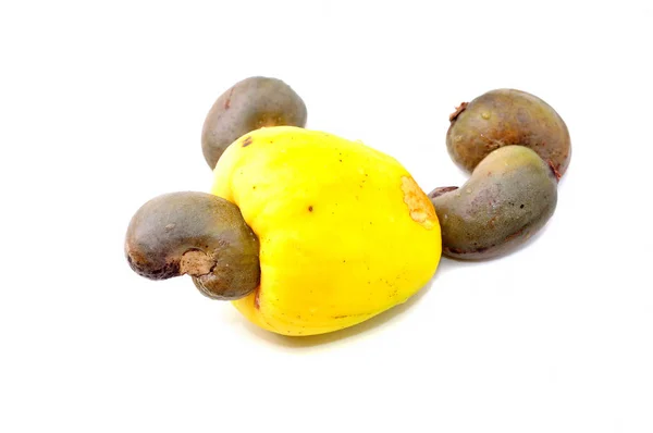 Cashew Frukt Anacardium Occidentale Isolerade Vit Bakgrund — Stockfoto