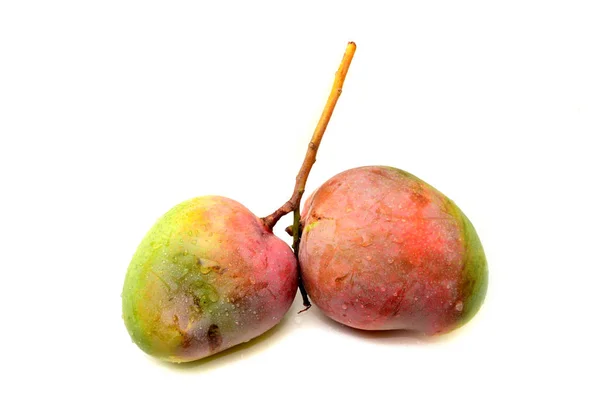 Apple Mango Fruit Isolated White Background — Stock Photo, Image