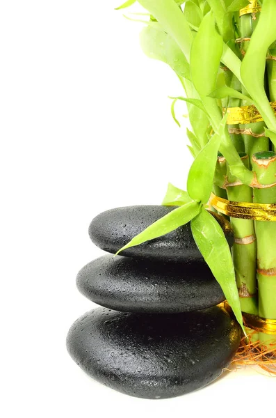 Bambu içeren spa konsepti zen bazalt taşları