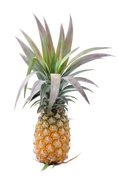 Mogen Ananas Isolerad Vit — Stockfoto