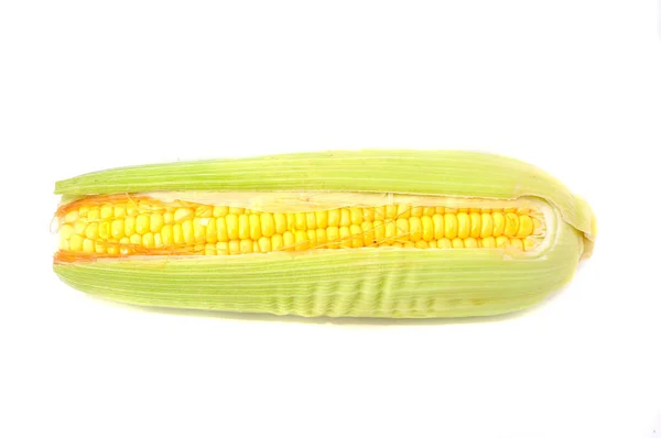 Ear Corn Isolated White Background — Stock Photo, Image