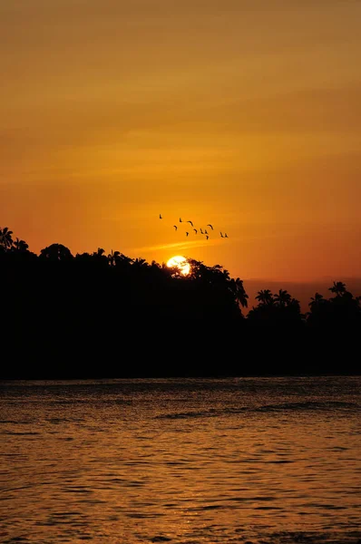 Pôr Sol Dourado Sobre Mar Com Pássaro Voando — Fotografia de Stock