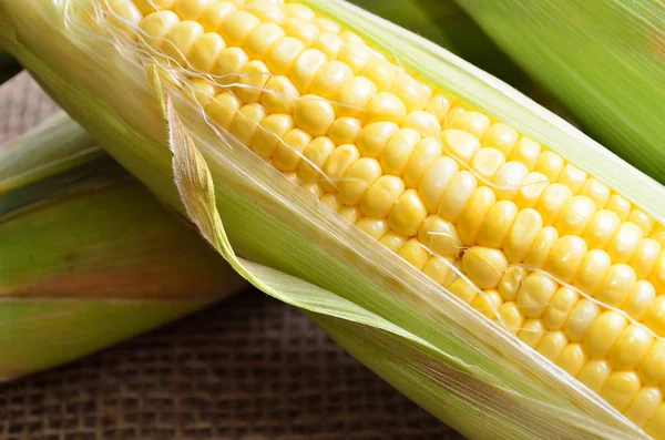 Mısır topçu üzerinde bir kulak