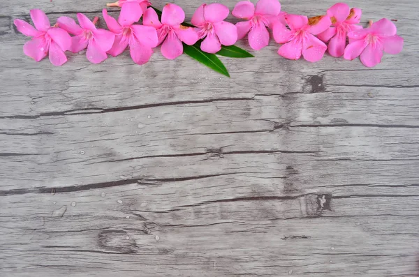 Pink Flowers Border Wood Pattern — Stock Photo, Image