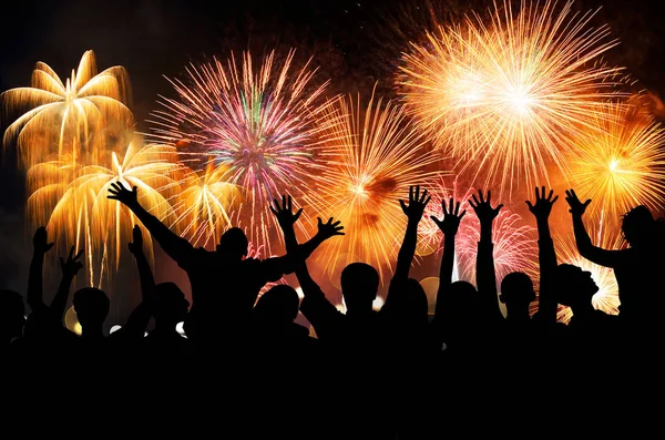 Bir grup insan bir karnaval veya tatil muhteşem havai fişek gösterisi zevk. Siluet insanlarda