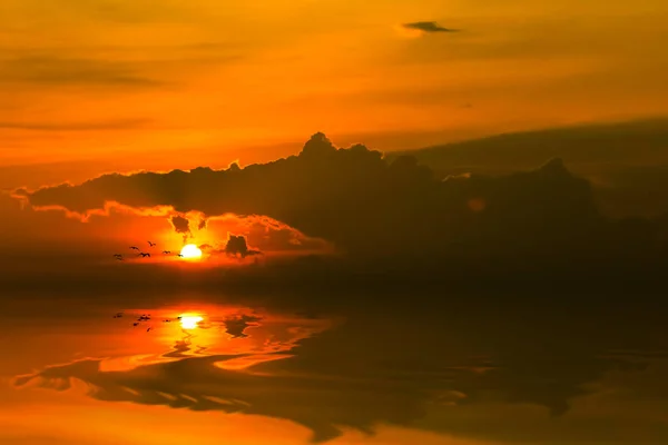 Coucher Soleil Avec Réflexion Sur Sable Oiseau Volant — Photo