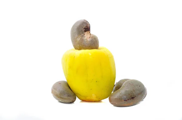 Cashew Fruit Anacardium Occidentale Isolated White Background — Stock Photo, Image