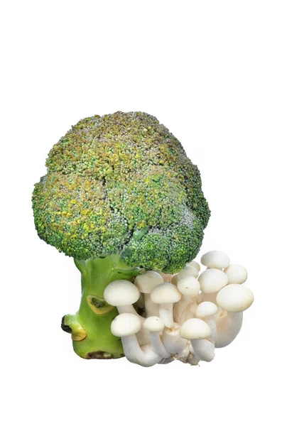 Brocolli Verde Con Champiñón Shimeji Blanco Aislado Sobre Fondo Blanco — Foto de Stock