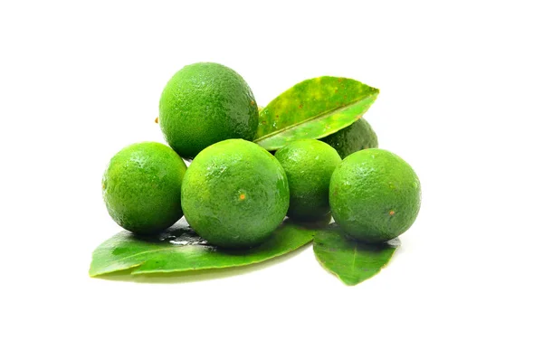 Calamansi White Background — Stock Photo, Image