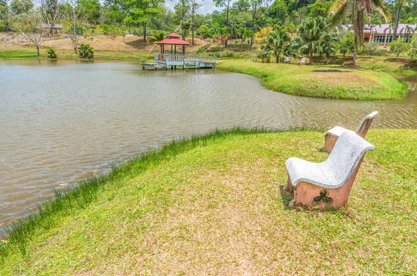 Grama Rodeia Banco Parque Perto Uma Pequena Lagoa — Fotografia de Stock