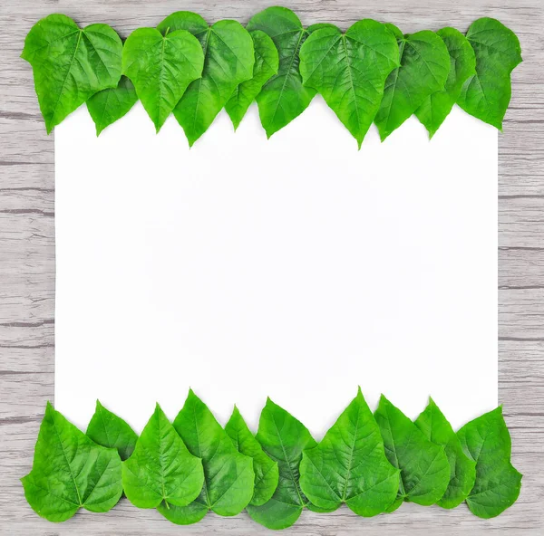Rám Zelené Listy Dřevo Pozadí — Stock fotografie