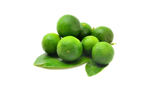 Calamansi Sobre Fondo Blanco — Foto de Stock