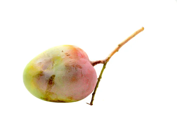 Mango Manzana Aislado Sobre Fondo Blanco — Foto de Stock