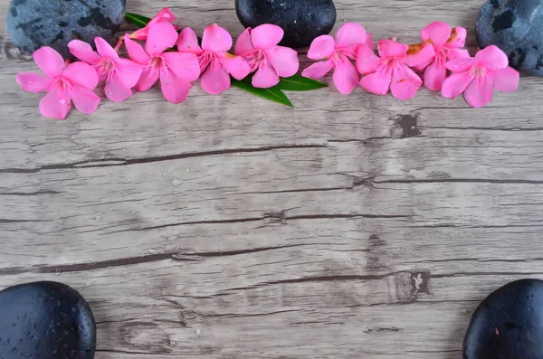 Pink Flowers Border Wood Pattern — Stock Photo, Image