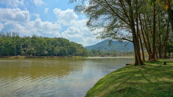Orman gölü Mavi bulutlu gökyüzünün altında