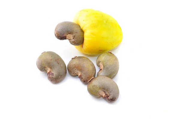 Плоды Кешью Anacardium Occidentale Выделены Белом Фоне — стоковое фото
