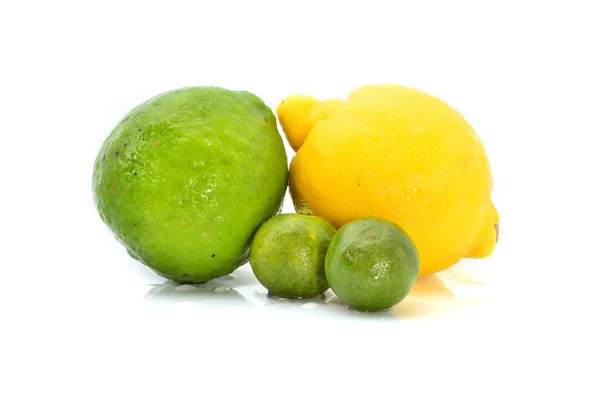 Fresh Lime Lemon Isolated White Background — Stock Photo, Image