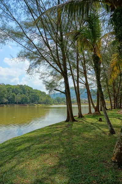 Orman gölü Mavi bulutlu gökyüzünün altında