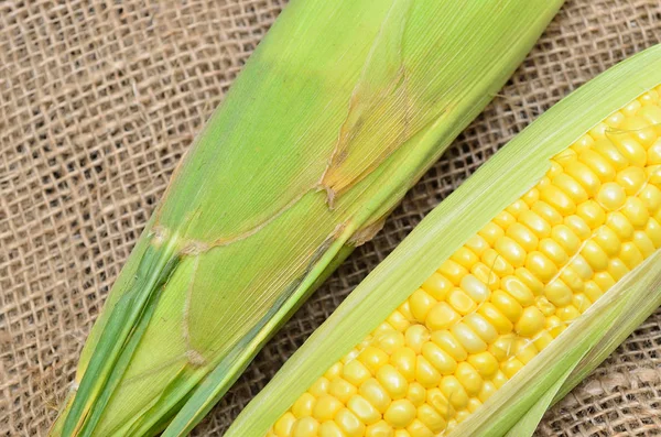 Ухо Кукурузы Серне — стоковое фото