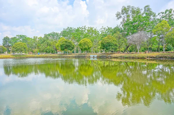 Lindo Lago Com Árvore Verde Processo Hdr High Dynamic Range — Fotografia de Stock