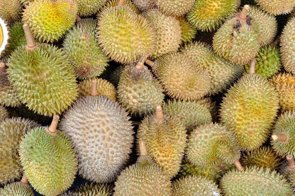 Durian Market — Stock Photo, Image