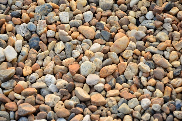 Coloridos Guijarros Pequeños Piedra Jardín — Foto de Stock