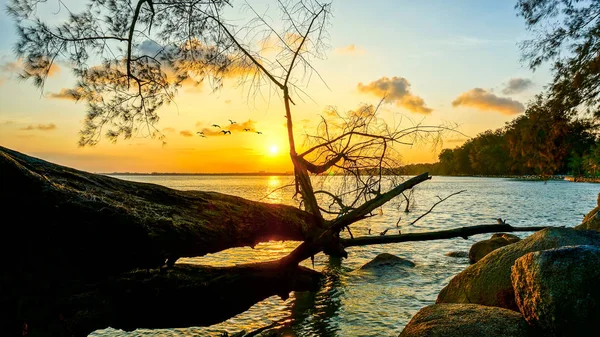 Momento Pôr Sol Perto Praia — Fotografia de Stock